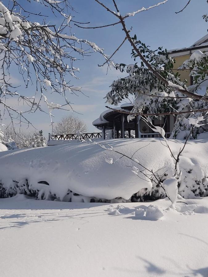 Bizim Ev Villa ซาพานจา ภายนอก รูปภาพ