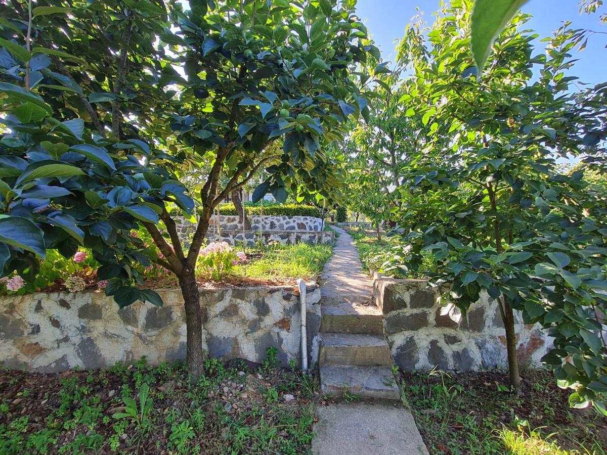 Bizim Ev Villa ซาพานจา ภายนอก รูปภาพ
