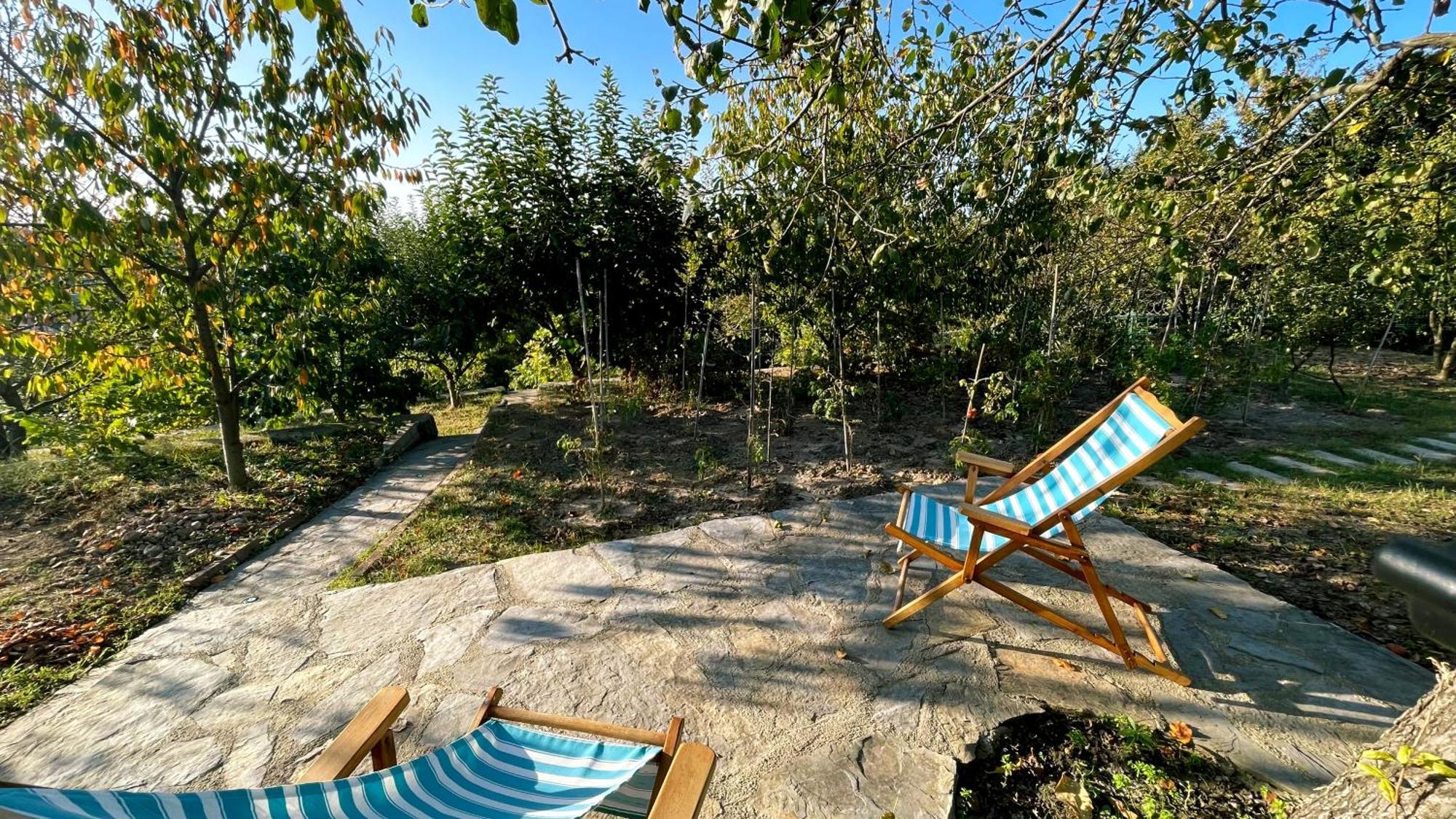 Bizim Ev Villa ซาพานจา ภายนอก รูปภาพ